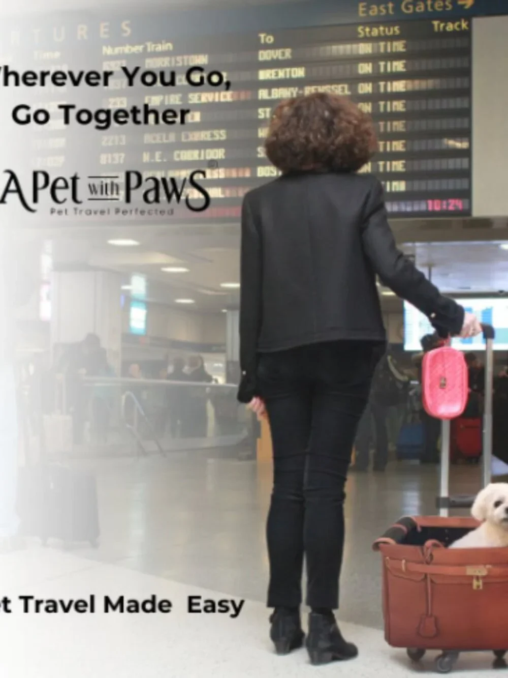 Luxury Airline-Approved Pet Carrier – Like New – Designer Handbag Style